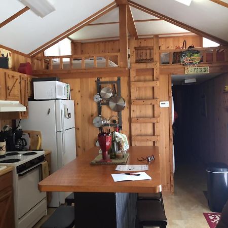 Cozy Cabin On The Bayou Maurepas ภายนอก รูปภาพ