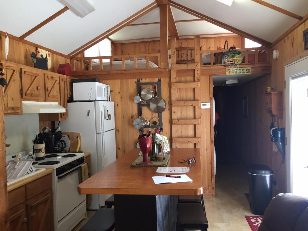 Cozy Cabin On The Bayou Maurepas ภายนอก รูปภาพ